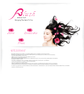 Link to example site . blush mobile hairdressers 